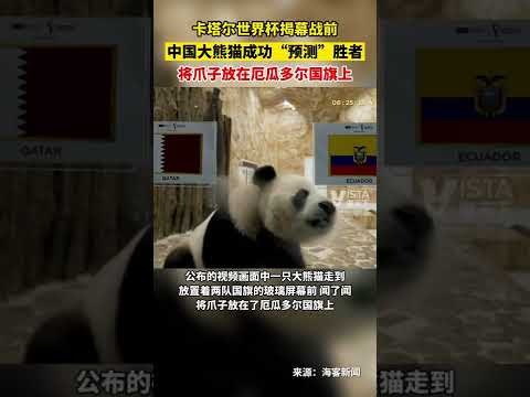 湖人对决掘,詹姆斯经典,时刻盘点,世界杯外围,外围投注,世界杯投注技巧,2026世界杯,竞猜攻略